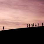 A CFO for the Family: Why Every UHNW Family Needs One