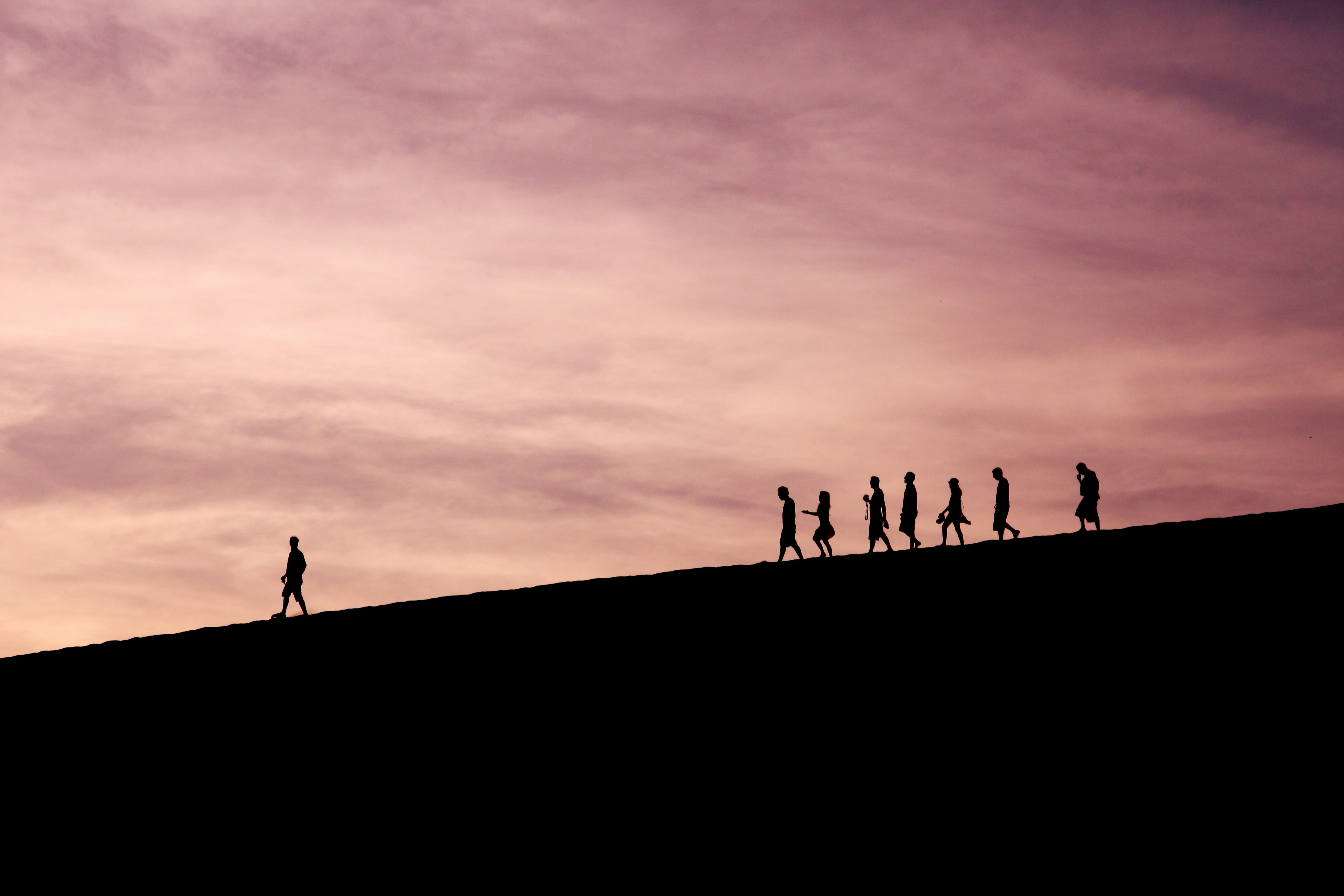 A CFO for the Family: Why Every UHNW Family Needs One A-CFO-for-the-Family-Why-Every-UHNW-Family-Needs-One-WPLG