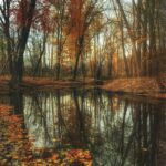 Creating a Family Charter: Roles, Rules, and Vision