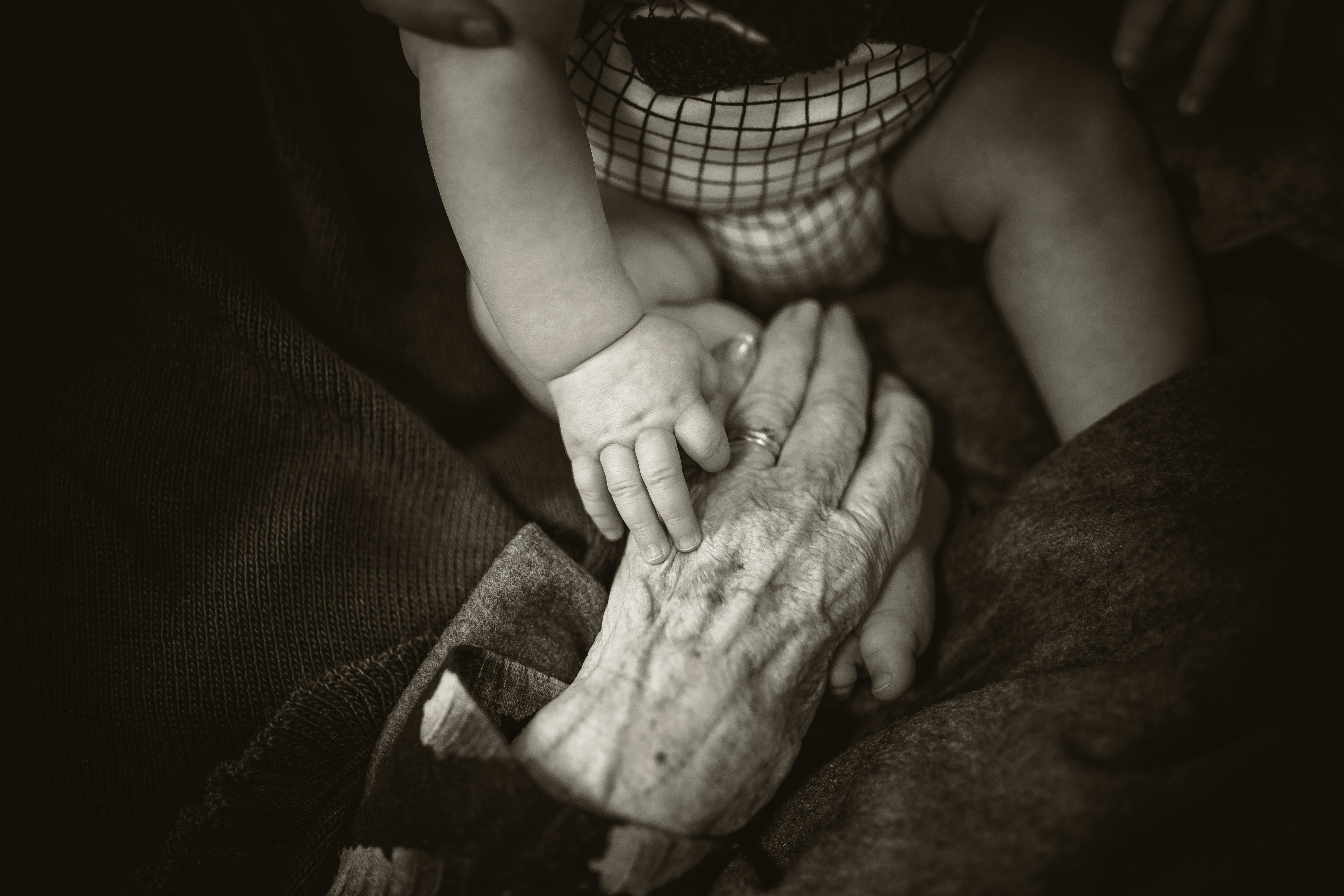 Family-Governance-WealthPlanningLawGroup