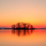 Rituals, Identity, and Legacy: Building Culture Around Wealth