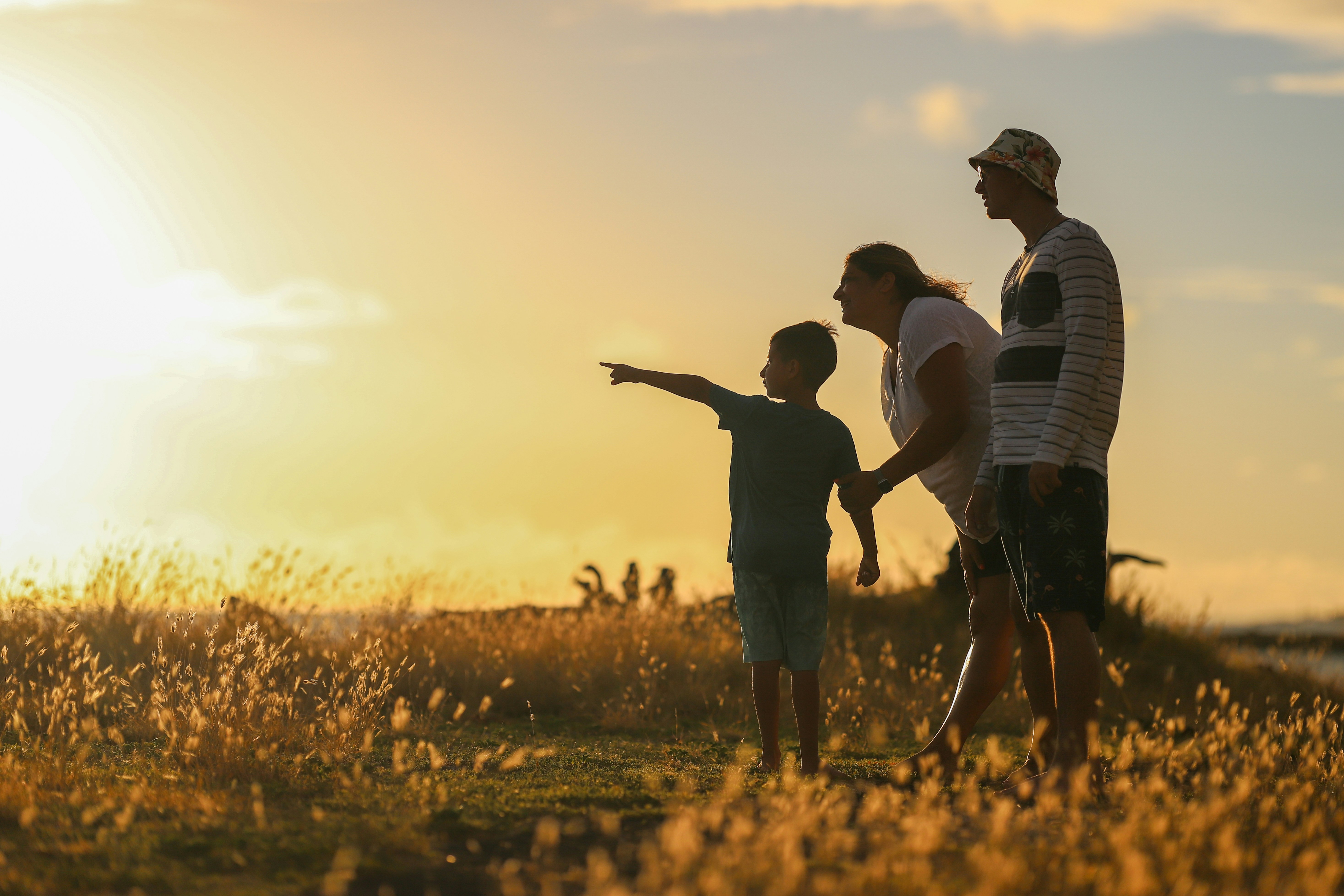 What-Is-a-Family-Constitution-and-Why-It-Matter-WPLG