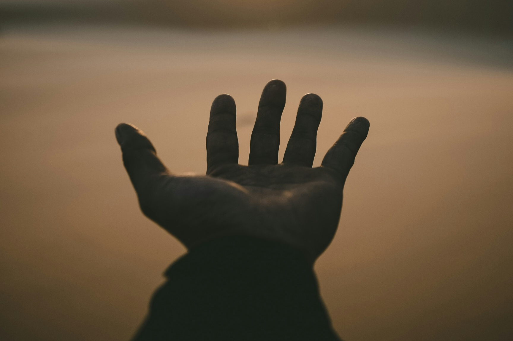 charitable lead trusts-wealth planning law group