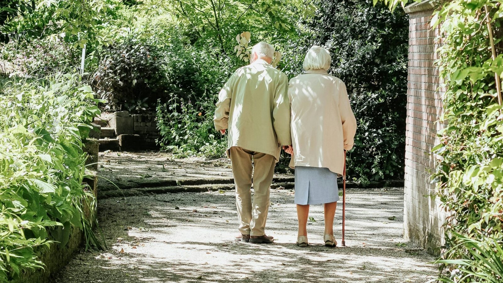 What You Need to Know on Financial Planning for Elderly Parents financial-planning-for-elderly-parents-wealth-planning-law-group