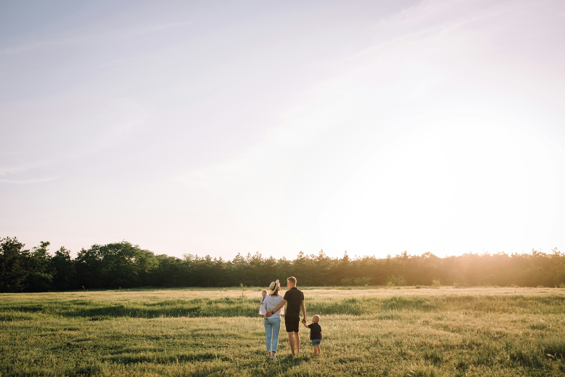 how to create an estate plan-wealth planning law group