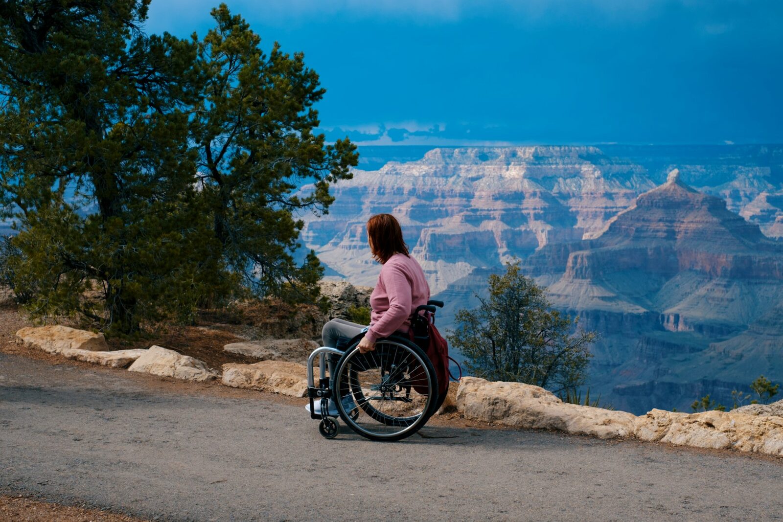 special needs planning-wealth planning law group