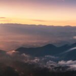 Coordinating Your CPA, Attorney, and Advisor with a VFO Hub